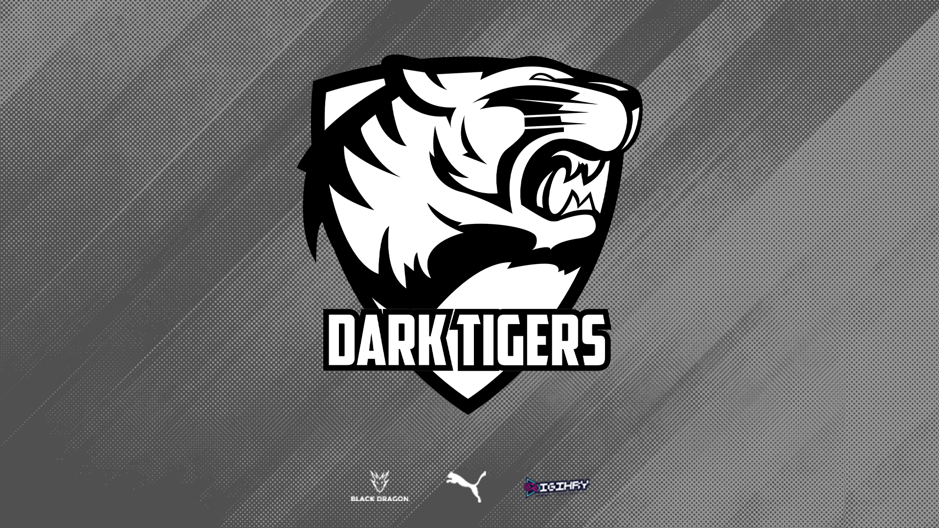 DARK TIGER SÚ BACK