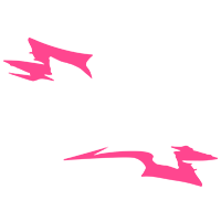 DONSTU